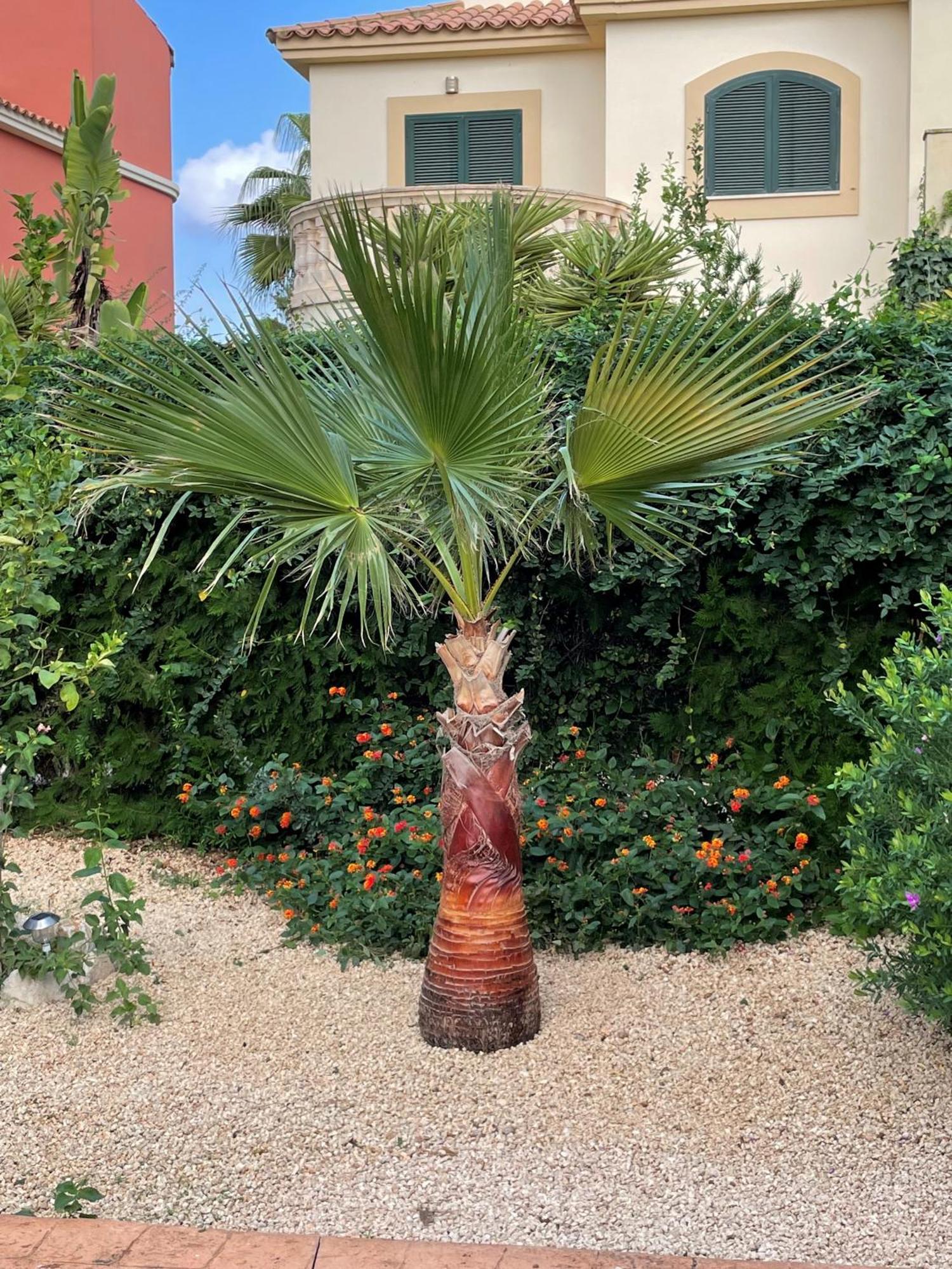 Hébergement de vacances El Paraiso Sa Ràpita